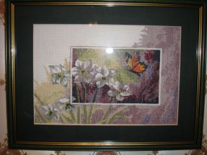 Butterfly in Narcissi