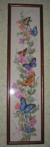 Butterflies on Liana