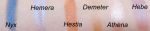 "Hebe" Eyeshadow
